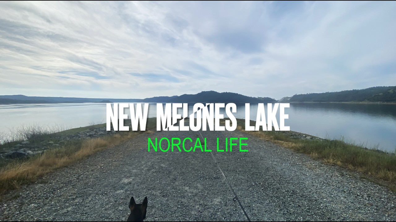 Bass Fishing New Melones with Frankie the Bullterrier (BASS FISHING)