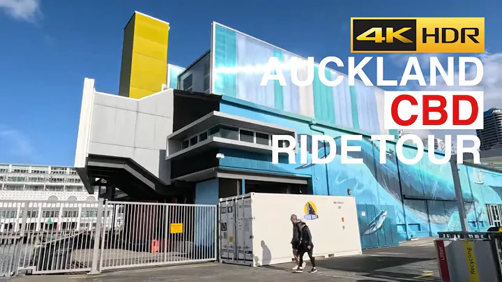 Auckland Late Afternoon Spring Ride Tour New Zealand 4K HDR