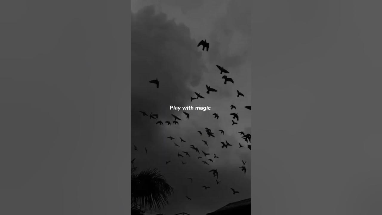 katy pary-Dark horse lyrics #aesthetic #lyrics #beatmine