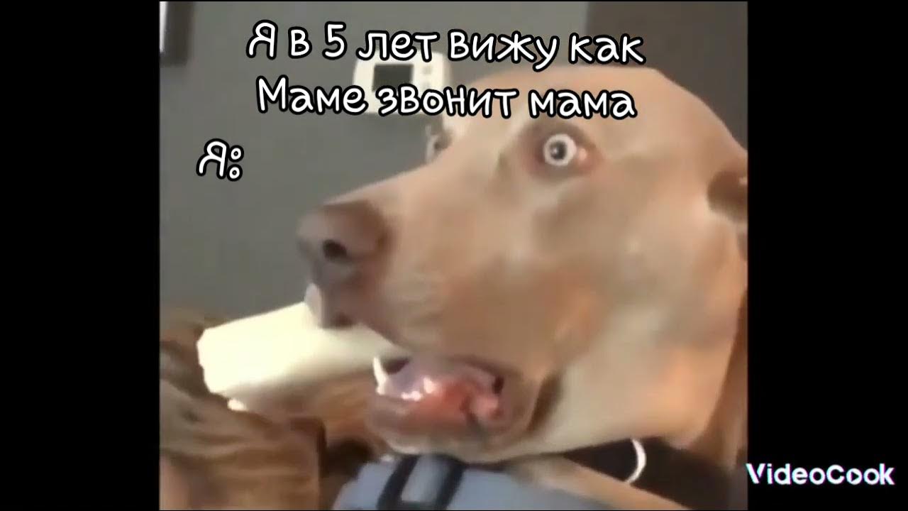 #супер_мем - YouTube