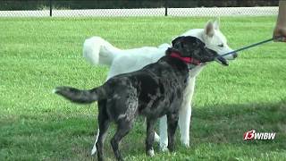 Shawnee County, Smucker’s agreement could bring benefits to Lake Shawnee & Bark Park