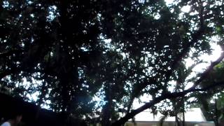 PC050115