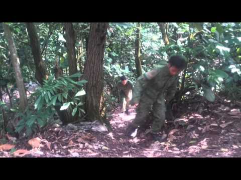 761SIR | ICT 2015 | C-COY