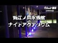 『新江ノ島水族館』ナイトアクアリウム紹介動画 の動画、YouTube動画。
