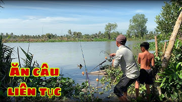 Câu Cá Tra Sông | Bãi Huyền Thoại Ăn Câu Liên Tục | Fishing Miền Tây