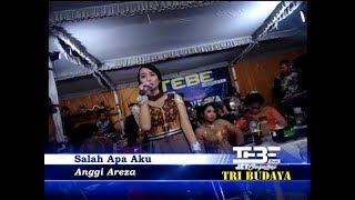 Salah Apa Aku Cover By Anggi Areza Campursari TEBE Tri Budaya