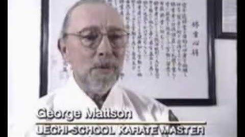 George Mattson - gov_of_japan_98 Video