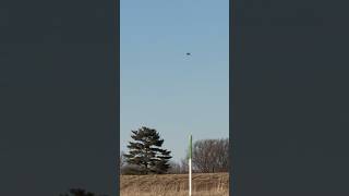 Extreme Winds Stop Bird in Flight 😂