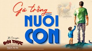 Nghe 5 phút ngủ một mạch tới sáng 