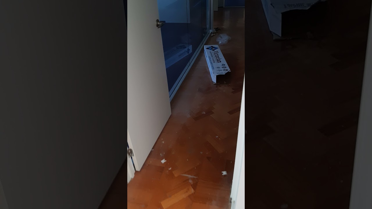 Commercial office broadloom carpet installation.