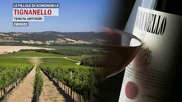 Come bere il Tignanello?