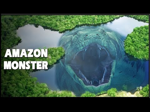 Why Does the Amazon River Create Monsters?