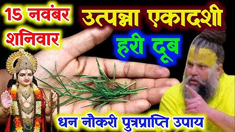 15 नवंबर उत्पन्ना एकादशी के दिन हरी दूब घास का उपाय चुपचाप कर लेना जन्म जन्मांतर की गरीबी दूर हो्