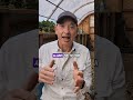 Breakdown to Breakthrough | Life&#39;s Lessons Unveiled #shorts #lifeslessons