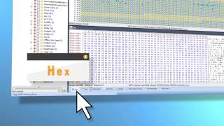 Forensic Explorer - Software Demo screenshot 3