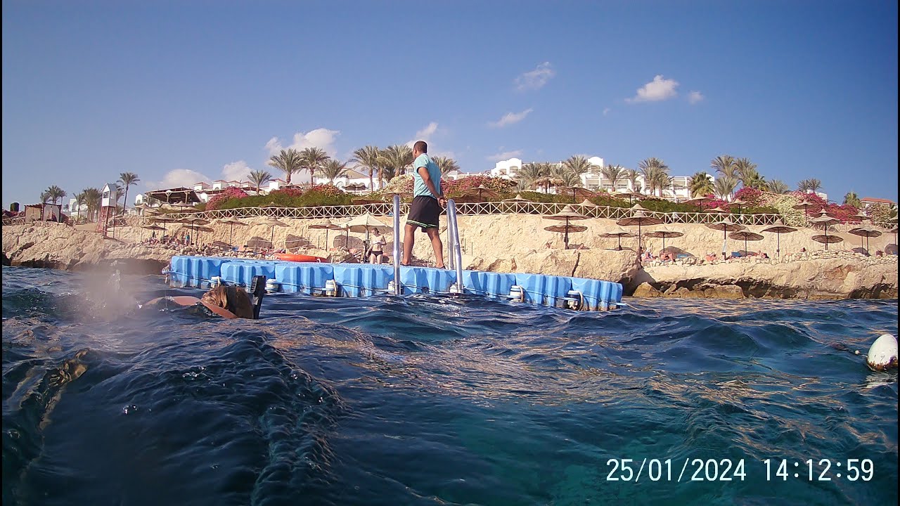 Египет, Siva Sharm hotel - небольшая экскурсия. 20-28.01.2024