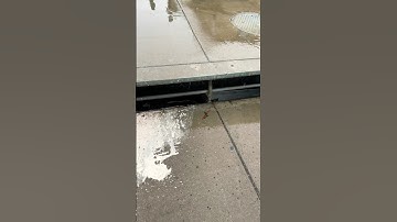 Can’t believe we found Penny Wise! 😱 #short #shorts #pennywise