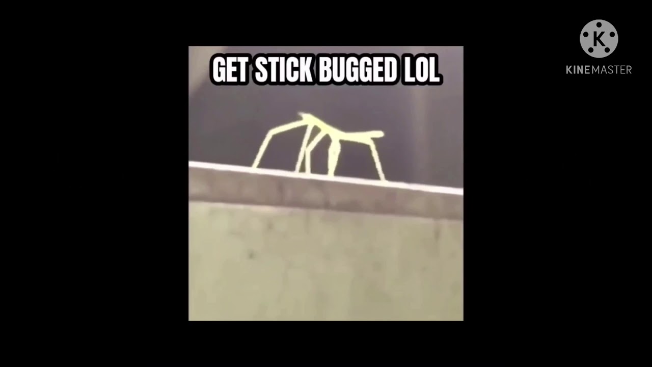 Стик баг. Stick Bug. Стикбак из БСС кавбади.