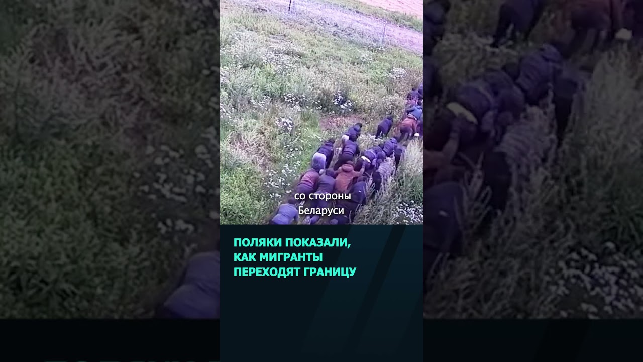 Польские пограничники показали, как мигранты пытаются перебраться через границу #беларусь #новости