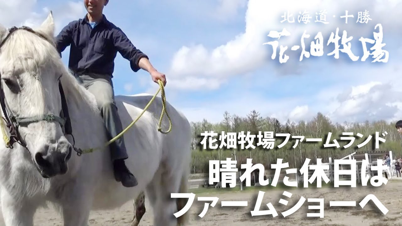 北海道 グルメ】とろ～りラクレットチーズがけ野菜＆濃厚パスタ【花畑