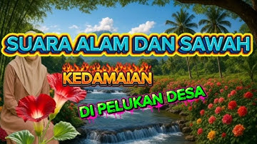 Suara Alam dan Sawah Hijau di Pagi Hari — Kedamaian di Pelukan Desa