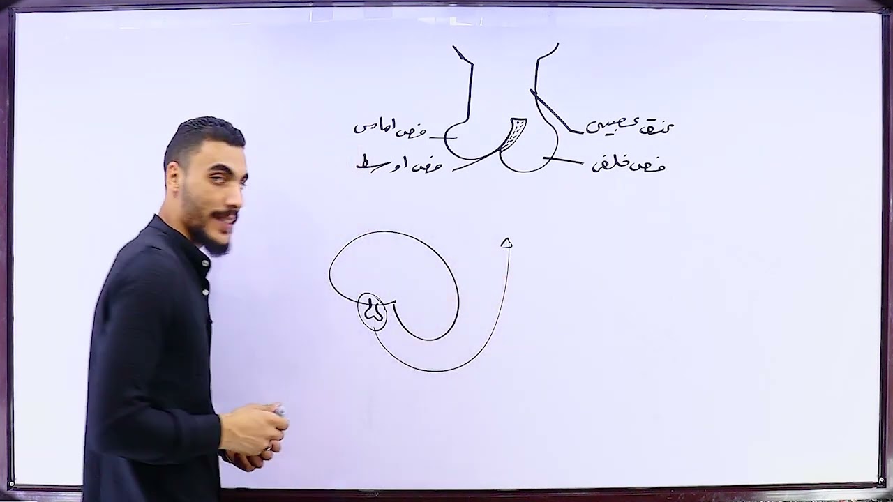 محاضرة ٤ | ٣ث | التنسيق الهرمونى | الغده النخاميه | ثانوية عامة | أحياء
