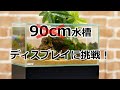 90㎝水槽！！？？え？？違う？？ダイナミックなディスプレイに挑戦！