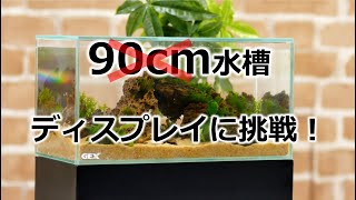 90㎝水槽！！？？え？？違う？？ダイナミックなディスプレイに挑戦！