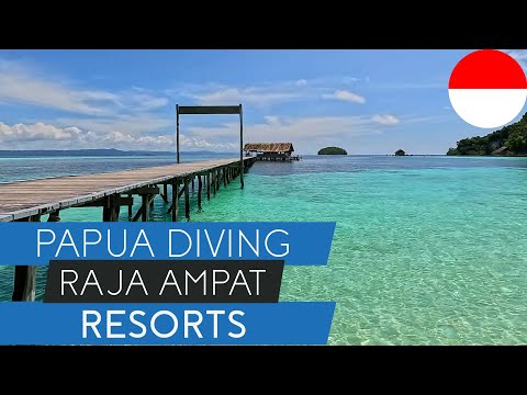 Diving Raja Ampat: Inside Papua Diving’s Kri Eco Resort & Sorido Bay Resort w/@papuadivingresorts