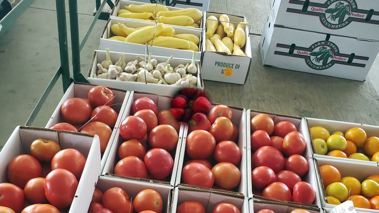 Amish Produce Auction/ Where the BIG stores buy to resell / Fresh Harvest