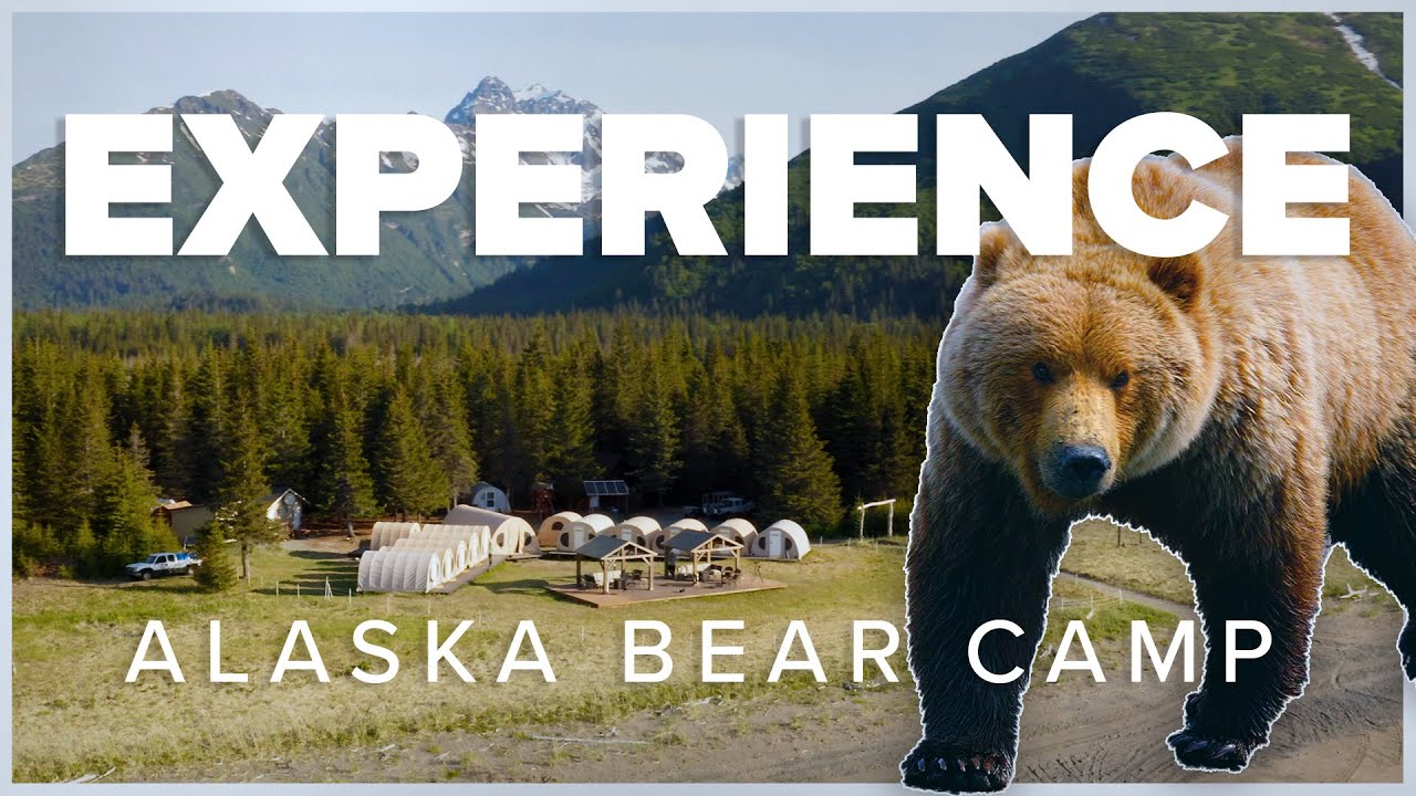 Experience Nat Hab's Alaska Bear Camp YouTube