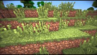 Minecraft - SEUS v10.0 Ultra Motion Blur vs. Chocapic13 - The Difference