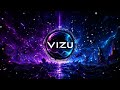 VIZU - Frozen Vaults (Visual)