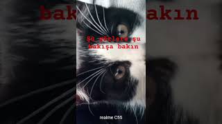 Bakişina Kurban Olduğum