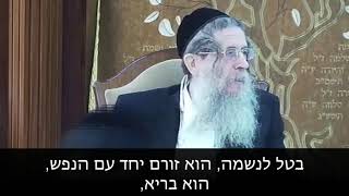 הרה"ג הרב ווכטר שליט"א - הרמב״ם ואריסטו