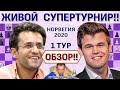 Обзор! Ставангер 2020. 1 тур 🎤 Сергей Шипов ♛ Шахматы