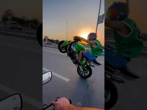 هذا انته شوف وجهك بل مرايه