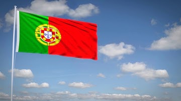 Studio3201 - Animated flag of Portugal