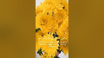 سورة الرعد آية 18- 24 Surah Ar-Ra'd Verse 18-24 Sheikh Musa Abuzaghleh