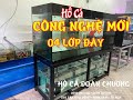 Hồ Cá Công Nghệ Mới 04 lớp Đáy I Hồ Cá Đoàn Chương