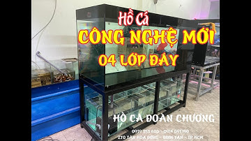 Hồ Cá Công Nghệ Mới 04 lớp Đáy I Hồ Cá Đoàn Chương