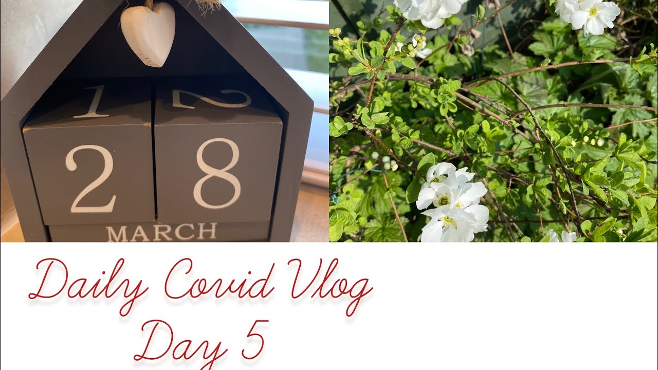 Vlogid! Daily Covid Vlog - day 5 *not a good day* - YouTube