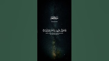 .... والذين كذبوا بآياتنا يمسهم العذاب .... 🎧 || #قرآن #خالد_الجليل #المصحف