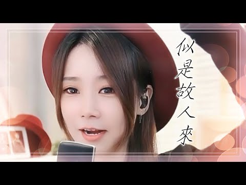 亮聲open《似是故人來》梅艷芳  粵語歌
