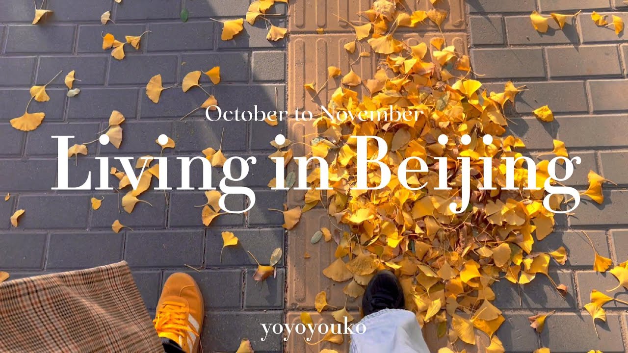 Living in Beijing | Some days from October to November, enjoy meals, feel the autumn