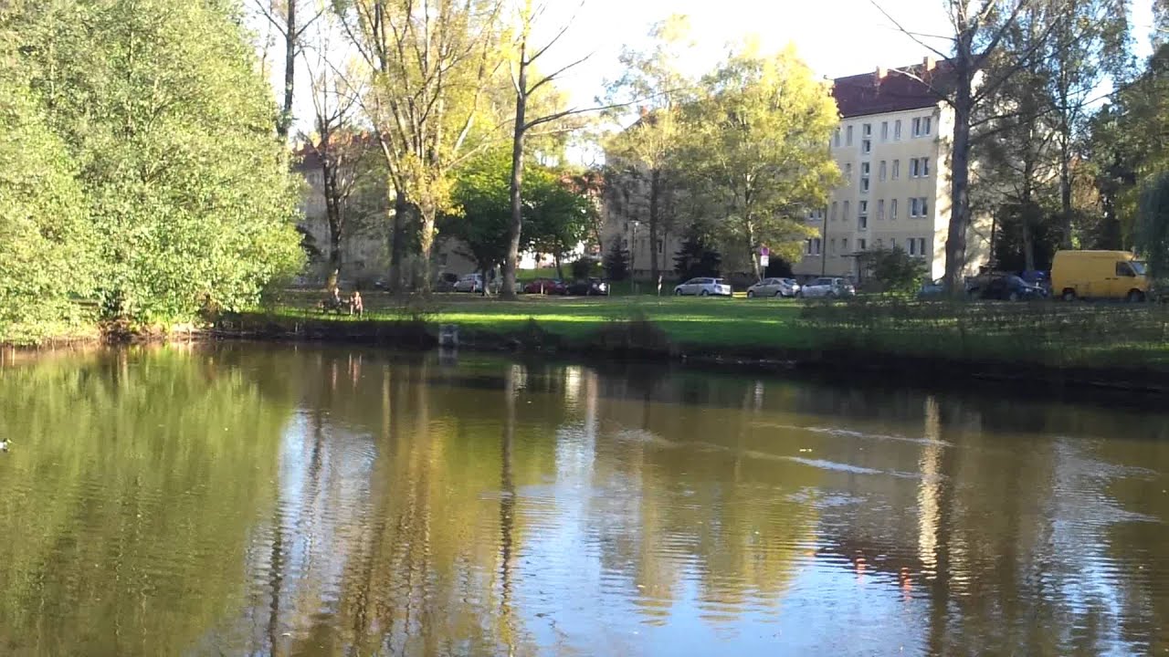 Test Video Samsung S 2 Teich 2.mp4