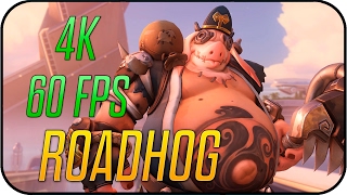 Overwatch - Roadhog Bajie - Animated Desktop Wallpaper 4K 60Fps