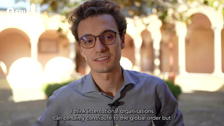 Do international organisations contribute to the g...