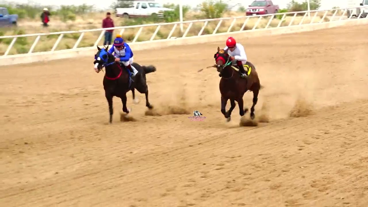 EL EMPRESARIO CUADRA RC VS EL SIN LIMITE CUADRA COMPADRES 250 YARDAS