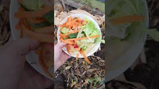 How To Start A Compost Pile / GG The Garden Girl #compost #gardening #garden